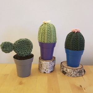 Handmade cacti decorations, set of 3